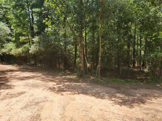 LOT 1 SYCAMORE LANE, PLANTERSVILLE, TX 77363 - Image 1