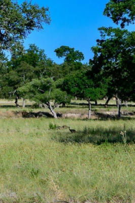 LOT 84 CREEKSIDE AT CAMP VERDE, CENTER POINT, TX 78010, photo 5 of 10