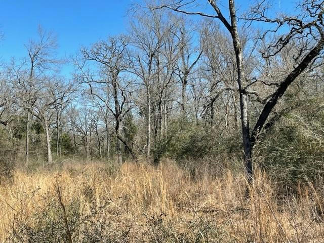 TBD COUNTY ROAD 317, CENTERVILLE, TX 75833, photo 1 of 13